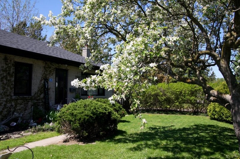 Curb Appeal landscaping