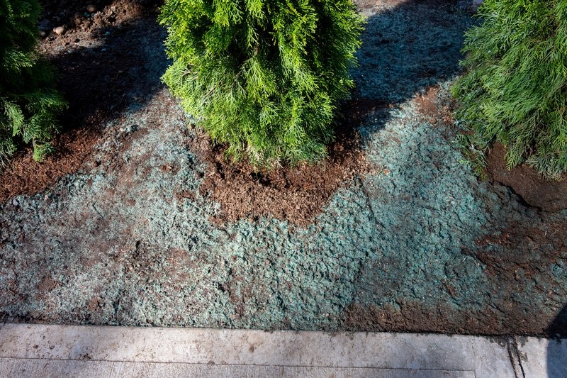 Hydro Seeding Maintenance tips
