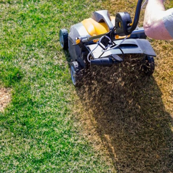 The Science Behind Lawn Aeration cover
