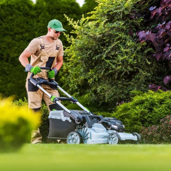 The Importance of Regular Lawn Mowing cover
