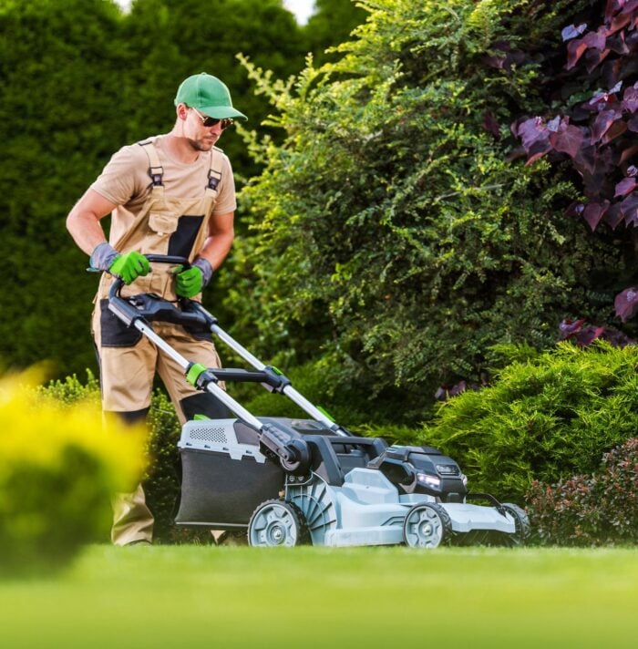 The Importance of Regular Lawn Mowing cover