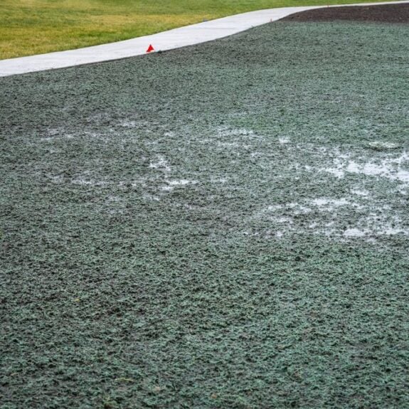Hydro Seeding for Sloped Yards cover