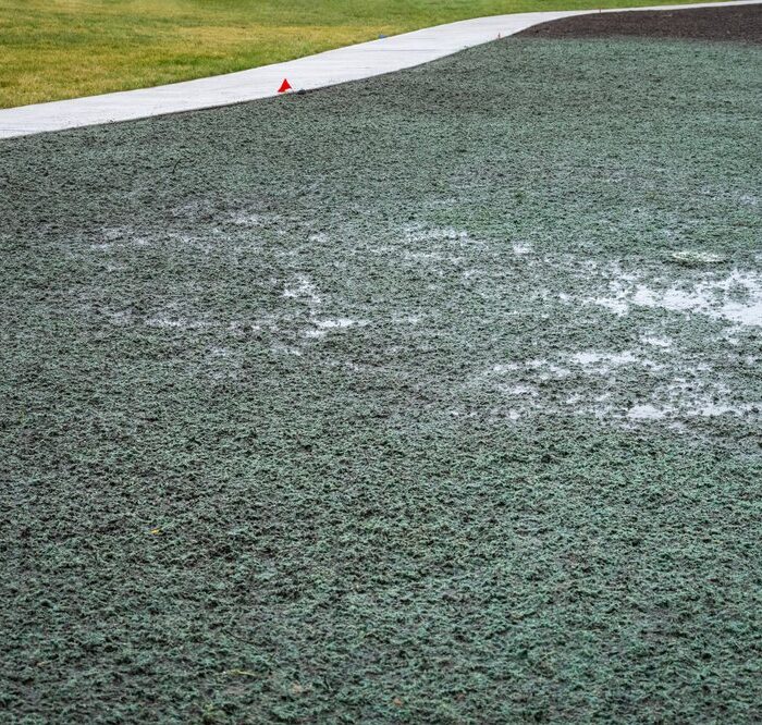 Hydro Seeding for Sloped Yards cover