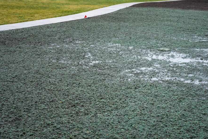 Hydro Seeding for Sloped Yards cover Hydro Seeding for Sloped Yards cover