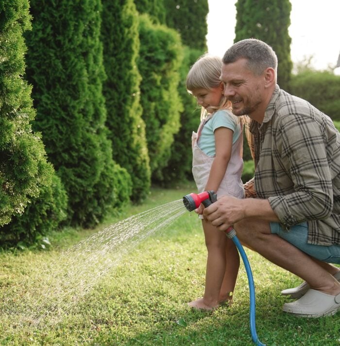 summer lawn watering