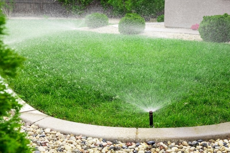 summer lawn watering