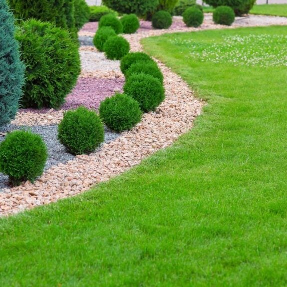 Lawn Edging Techniques for a Polished Look cover