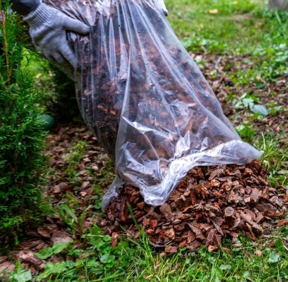 Fall Lawn Preparation: Start Now for Success cover