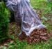 Fall Lawn Preparation: Start Now for Success
