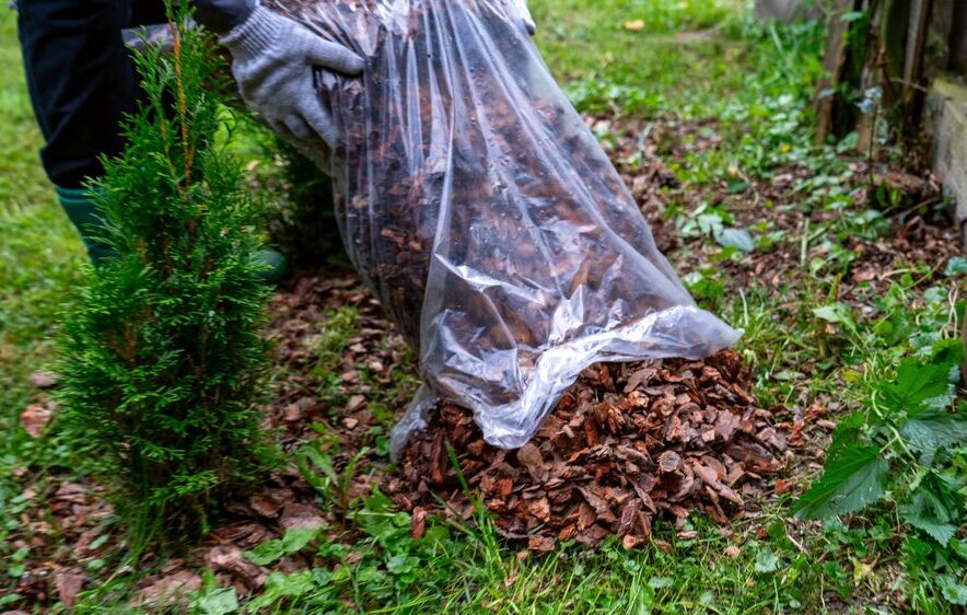 Fall Lawn Preparation: Start Now for Success cover Fall Lawn Preparation: Start Now for Success cover